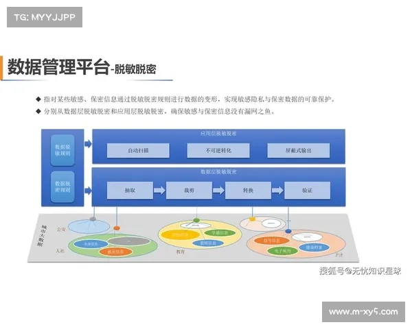 数字化管理平台成为赛事服务核心，驱动决策效率提升